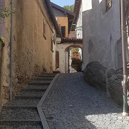 Francia גיפה
